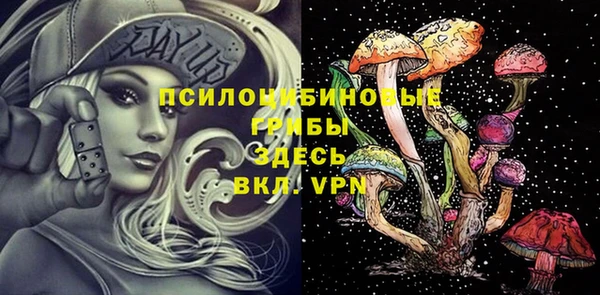a pvp Белокуриха