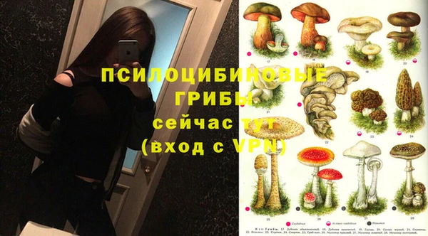 дурь Белоозёрский