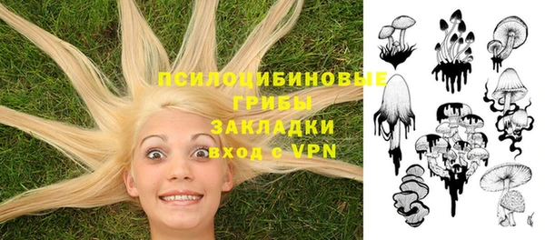 дживик Баксан
