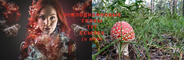 соль курить ск Богданович